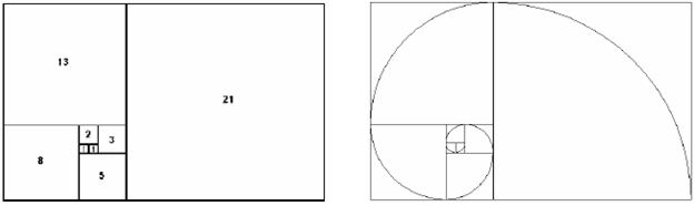 Fibonacciho tyhelnky a logaritmick spirla